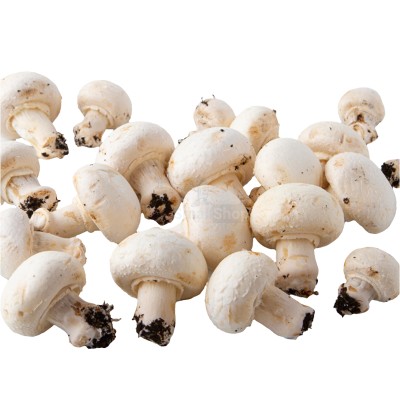 Шампиньоны свежие 500 г - купить в Воронеже